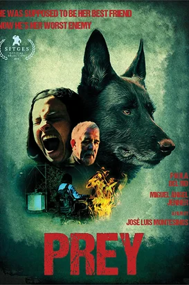 Cordes izle