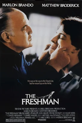 Akıl Hocası – The Freshman izle
