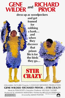 Beni deli etme – Stir Crazy izle
